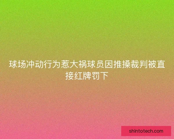 球场冲动行为惹大祸球员因推搡裁判被直接红牌罚下